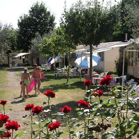 Blu International Camping Bolsena Eksteriør billede