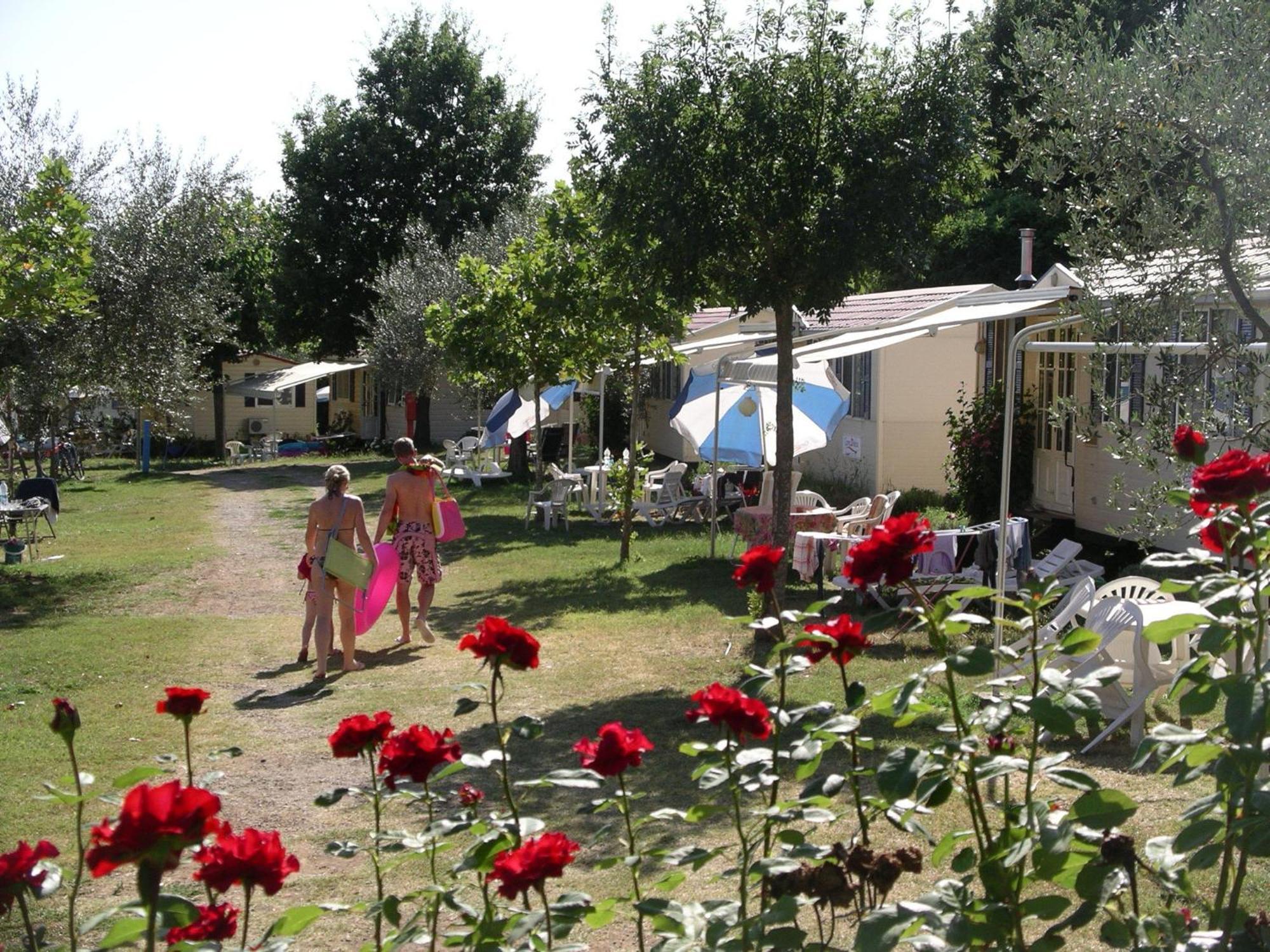 Blu International Camping Bolsena Eksteriør billede